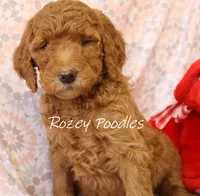 processed/07bccfd1-65b5-4a5e-8e46-1b0d3ae0e638/listing/040b3fab-40ec-4a1c-9044-96013ffdf4a3/787398d8-a0f4-47bd-a29d-364393c46eb9