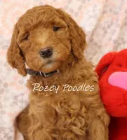 processed/07bccfd1-65b5-4a5e-8e46-1b0d3ae0e638/listing/040b3fab-40ec-4a1c-9044-96013ffdf4a3/e10d1d7d-1ee3-4276-8a4f-2dbc05cc97bd