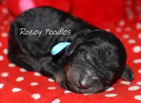 processed/07bccfd1-65b5-4a5e-8e46-1b0d3ae0e638/listing/12b8be44-007c-4d8f-bdd9-318687555dd3/b5852bdb-8893-4724-97cc-787b975d004f