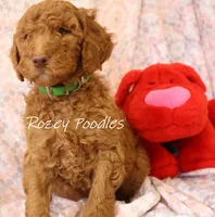 processed/07bccfd1-65b5-4a5e-8e46-1b0d3ae0e638/listing/15217cda-bb48-479b-8cf9-4e80fc2132d3/1a49aee9-811f-404d-a4d5-f5291df0dcf3