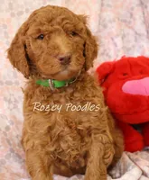 processed/07bccfd1-65b5-4a5e-8e46-1b0d3ae0e638/listing/15217cda-bb48-479b-8cf9-4e80fc2132d3/1c55e99b-b51e-424a-9c30-223d9591e737