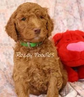 processed/07bccfd1-65b5-4a5e-8e46-1b0d3ae0e638/listing/15217cda-bb48-479b-8cf9-4e80fc2132d3/4dd1cee6-4869-4cfc-a908-b175b8e790f5