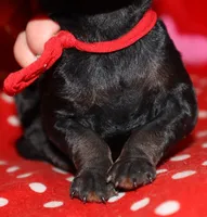 processed/07bccfd1-65b5-4a5e-8e46-1b0d3ae0e638/listing/28c5f5ce-93eb-45e2-8a95-1bee5d05cd3e/c6276915-a6cf-4bbe-bcd2-88fe4afbc698