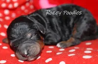 processed/07bccfd1-65b5-4a5e-8e46-1b0d3ae0e638/listing/3b84a228-5749-4b85-8ea9-248abad358e4/388426ad-9c13-43b2-a4ba-ca2b983aa96f