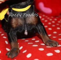 processed/07bccfd1-65b5-4a5e-8e46-1b0d3ae0e638/listing/3b84a228-5749-4b85-8ea9-248abad358e4/4c6572bc-9d5f-4b2b-af47-7e379966c8e7