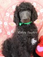 processed/07bccfd1-65b5-4a5e-8e46-1b0d3ae0e638/listing/3e3ee97e-7845-4469-aeb4-2e66618b60a2/11fd67bb-9a7d-4c09-b71c-3d4cdc0cab76