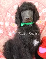 processed/07bccfd1-65b5-4a5e-8e46-1b0d3ae0e638/listing/3e3ee97e-7845-4469-aeb4-2e66618b60a2/62e02ba9-b703-4e51-a2f7-166c35a6f61f