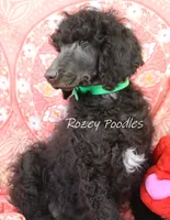 processed/07bccfd1-65b5-4a5e-8e46-1b0d3ae0e638/listing/3e3ee97e-7845-4469-aeb4-2e66618b60a2/aadaa965-e093-49d5-b329-d23984ae5e54