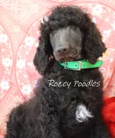 processed/07bccfd1-65b5-4a5e-8e46-1b0d3ae0e638/listing/3e3ee97e-7845-4469-aeb4-2e66618b60a2/f6252e20-9efe-4686-b18a-97196a213042