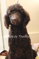 processed/07bccfd1-65b5-4a5e-8e46-1b0d3ae0e638/listing/c5cb0a2c-94e4-4f36-8b95-81a7b2a3d4bf/b5276f2b-2bab-4b14-9fef-cf20a9161726