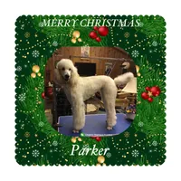 ROYAL PARKER, a male Poodle - Standard  for sale in Bristolville, OH – 5 of 5