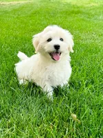 processed/07c1747a-5eee-4b35-9039-47b8060eead5/listing/763f919e-2bc1-46e4-81d6-32f9e1e89ef4/848f179e-ba10-438d-a6c0-e9a084bd08c6