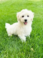 processed/07c1747a-5eee-4b35-9039-47b8060eead5/listing/763f919e-2bc1-46e4-81d6-32f9e1e89ef4/9da64ba7-0a54-4b45-a5d4-2b6bc04d56f8