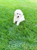 processed/07c1747a-5eee-4b35-9039-47b8060eead5/listing/763f919e-2bc1-46e4-81d6-32f9e1e89ef4/b529f46f-e4e5-483d-bc68-1aa0fbac7365