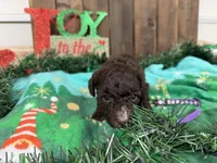 processed/07d730ac-00a1-464f-ab12-de0f6cb75c71/listing/07146113-e17b-4f6a-9441-35b2609c0261/2dde58d9-1591-48f9-9f06-4aeb43b15740