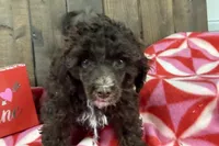 processed/07d730ac-00a1-464f-ab12-de0f6cb75c71/listing/07146113-e17b-4f6a-9441-35b2609c0261/36cfb4ae-fa60-41ec-9ae3-97e5e8358e34