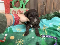 processed/07d730ac-00a1-464f-ab12-de0f6cb75c71/listing/07146113-e17b-4f6a-9441-35b2609c0261/5d4c6ad9-6eef-4e42-8603-bacab8dea955