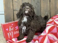 processed/07d730ac-00a1-464f-ab12-de0f6cb75c71/listing/07146113-e17b-4f6a-9441-35b2609c0261/888cf238-e04c-40ca-bd79-3dc782290ed1