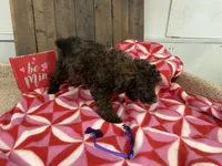 processed/07d730ac-00a1-464f-ab12-de0f6cb75c71/listing/07146113-e17b-4f6a-9441-35b2609c0261/e1ba4d4a-2ae7-4238-9d01-24c714dfa1b5