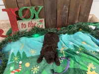 processed/07d730ac-00a1-464f-ab12-de0f6cb75c71/listing/07146113-e17b-4f6a-9441-35b2609c0261/f88a02aa-52df-4fb5-bea3-cebeb63307fb