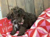 processed/07d730ac-00a1-464f-ab12-de0f6cb75c71/listing/07146113-e17b-4f6a-9441-35b2609c0261/fa2b0282-767e-4be9-a251-d31a6a4c8046