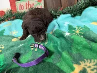 processed/07d730ac-00a1-464f-ab12-de0f6cb75c71/listing/07146113-e17b-4f6a-9441-35b2609c0261/fcd6331e-5fcc-49f3-8a7d-1282bb6ba492