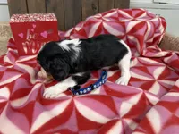 processed/07d730ac-00a1-464f-ab12-de0f6cb75c71/listing/07f6065f-722b-4526-a0ca-aa64dc1a3e51/5c3d7eb6-d6d6-4811-a1f5-e2213f1ff4aa