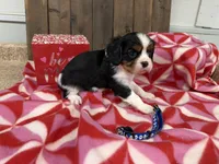 processed/07d730ac-00a1-464f-ab12-de0f6cb75c71/listing/07f6065f-722b-4526-a0ca-aa64dc1a3e51/d929f256-42cd-4850-a73f-eab7da762fef