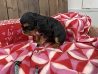 processed/07d730ac-00a1-464f-ab12-de0f6cb75c71/listing/3571e660-b655-4cac-9817-59d3e8b22254/28bef9b7-f2b5-4d15-b27f-348e2992d05f