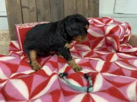 processed/07d730ac-00a1-464f-ab12-de0f6cb75c71/listing/3571e660-b655-4cac-9817-59d3e8b22254/54578ff1-b994-4c15-97ed-c50241bada3a