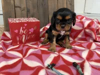 processed/07d730ac-00a1-464f-ab12-de0f6cb75c71/listing/3571e660-b655-4cac-9817-59d3e8b22254/b11d08a6-cb9c-4ce7-b899-62468ec092c0