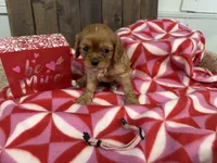 processed/07d730ac-00a1-464f-ab12-de0f6cb75c71/listing/52518f3a-5def-4593-b783-f9a477b7e87a/0290f5d5-19ba-4a3e-bc10-c65168d74b1b