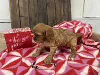 processed/07d730ac-00a1-464f-ab12-de0f6cb75c71/listing/52518f3a-5def-4593-b783-f9a477b7e87a/f5ee8256-1e0f-4ba4-a45e-c99f279e750e