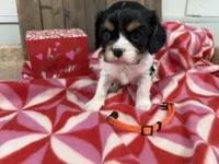 processed/07d730ac-00a1-464f-ab12-de0f6cb75c71/listing/819cb478-fe0f-4326-96b4-d4bffa4bbc54/5a563eae-ed31-4829-a31a-2dd3bc028ed6