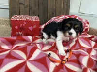 processed/07d730ac-00a1-464f-ab12-de0f6cb75c71/listing/819cb478-fe0f-4326-96b4-d4bffa4bbc54/78baf4a6-adfa-4d5b-8a2c-4148e5746d12