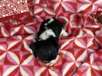 processed/07d730ac-00a1-464f-ab12-de0f6cb75c71/listing/819cb478-fe0f-4326-96b4-d4bffa4bbc54/b20d0f9b-9403-4c34-a742-ad98d74ce0cc