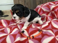 processed/07d730ac-00a1-464f-ab12-de0f6cb75c71/listing/819cb478-fe0f-4326-96b4-d4bffa4bbc54/eeeffdc6-6af1-4955-bde7-6a51ee802f91