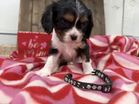 processed/07d730ac-00a1-464f-ab12-de0f6cb75c71/listing/84564f43-7bf5-40e6-8f7a-8cb9c176a4be/0334f3d7-40ba-4a44-baea-01aefcf992b4