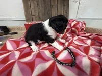 processed/07d730ac-00a1-464f-ab12-de0f6cb75c71/listing/84564f43-7bf5-40e6-8f7a-8cb9c176a4be/1511d9f1-6181-468b-826a-7cb47e0f0c83