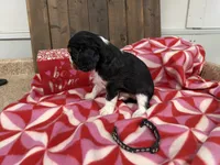 processed/07d730ac-00a1-464f-ab12-de0f6cb75c71/listing/84564f43-7bf5-40e6-8f7a-8cb9c176a4be/c0f61fe8-81db-430a-a27c-5409458365ce