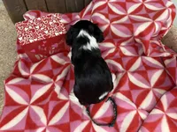 processed/07d730ac-00a1-464f-ab12-de0f6cb75c71/listing/84564f43-7bf5-40e6-8f7a-8cb9c176a4be/df927b1b-7a36-4242-8484-b9b9af81863b