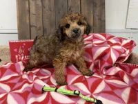 processed/07d730ac-00a1-464f-ab12-de0f6cb75c71/listing/857af2ae-5b72-4287-81bc-c8493b3f51a9/1467153f-d78d-4ab2-b30f-8bb019c5b952