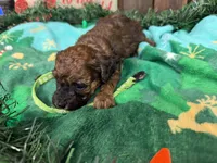 processed/07d730ac-00a1-464f-ab12-de0f6cb75c71/listing/857af2ae-5b72-4287-81bc-c8493b3f51a9/32291c1a-b092-4521-a3ae-653c94195ca4