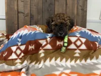 processed/07d730ac-00a1-464f-ab12-de0f6cb75c71/listing/857af2ae-5b72-4287-81bc-c8493b3f51a9/532bacd8-92a9-40d5-af44-757d7555e188