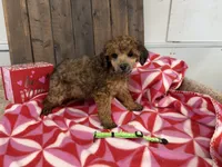 processed/07d730ac-00a1-464f-ab12-de0f6cb75c71/listing/857af2ae-5b72-4287-81bc-c8493b3f51a9/ad1df739-e288-47a8-9af9-61695ee596be