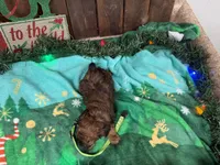 processed/07d730ac-00a1-464f-ab12-de0f6cb75c71/listing/857af2ae-5b72-4287-81bc-c8493b3f51a9/b9a0c666-680a-438a-a649-77d205a06fc2