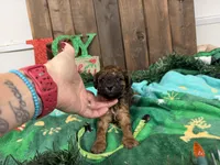 processed/07d730ac-00a1-464f-ab12-de0f6cb75c71/listing/857af2ae-5b72-4287-81bc-c8493b3f51a9/baf732f8-13c9-46ac-8824-1b1127f5604b