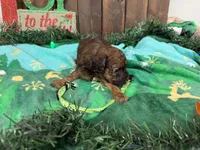 processed/07d730ac-00a1-464f-ab12-de0f6cb75c71/listing/857af2ae-5b72-4287-81bc-c8493b3f51a9/dedf386a-c139-4d3d-ae9b-b324d056f06d