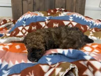 processed/07d730ac-00a1-464f-ab12-de0f6cb75c71/listing/857af2ae-5b72-4287-81bc-c8493b3f51a9/e8720dbe-2272-47da-a9a2-6f1d038a62bb