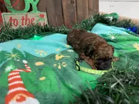 processed/07d730ac-00a1-464f-ab12-de0f6cb75c71/listing/857af2ae-5b72-4287-81bc-c8493b3f51a9/e90c36cb-bee4-4781-bc50-413d30369d95